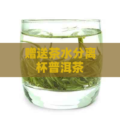 赠送茶水分离杯普洱茶