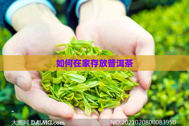 如何在家存放普洱茶