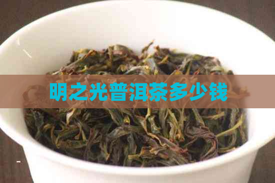 明之光普洱茶多少钱