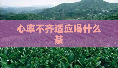 心率不齐适应喝什么茶