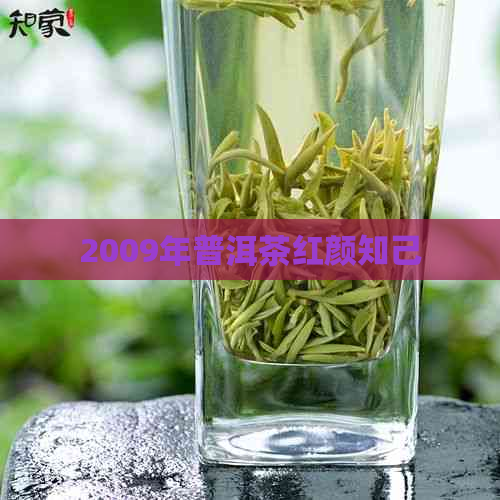 2009年普洱茶红颜知己