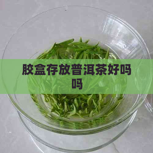 胶盒存放普洱茶好吗吗