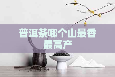 普洱茶哪个山最香更高产