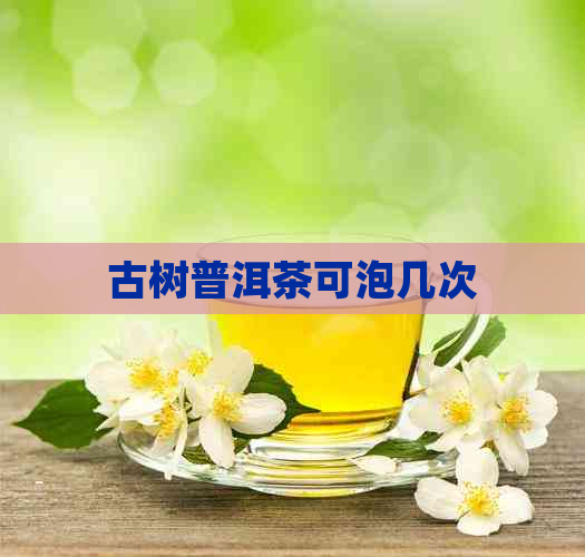 古树普洱茶可泡几次