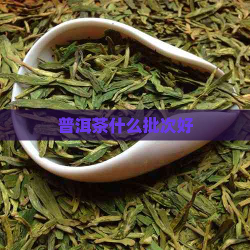 普洱茶什么批次好