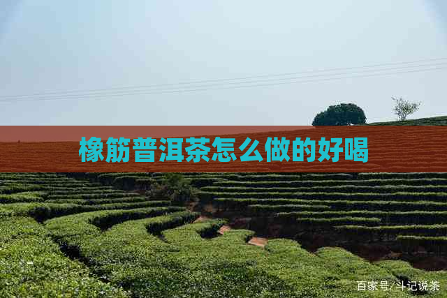 橡筋普洱茶怎么做的好喝