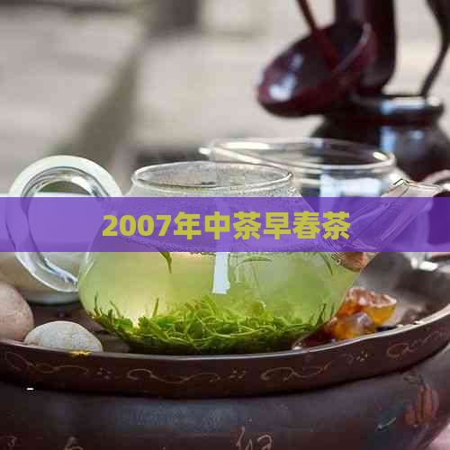 2007年中茶早春茶