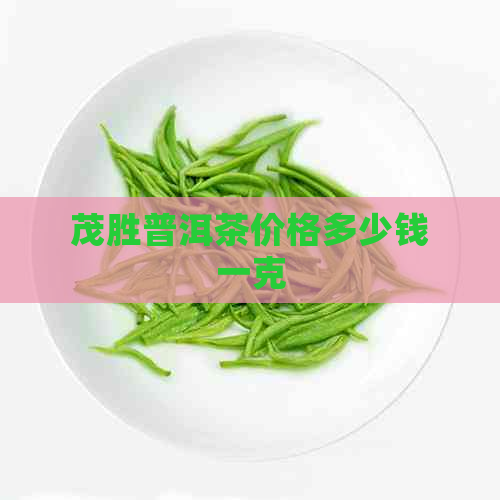 茂胜普洱茶价格多少钱一克