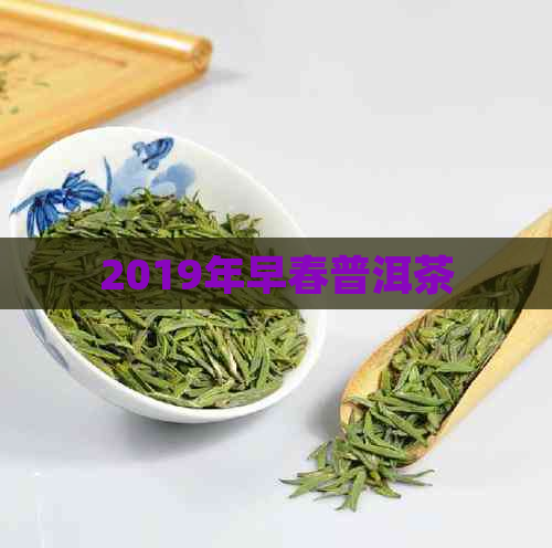 2019年早春普洱茶