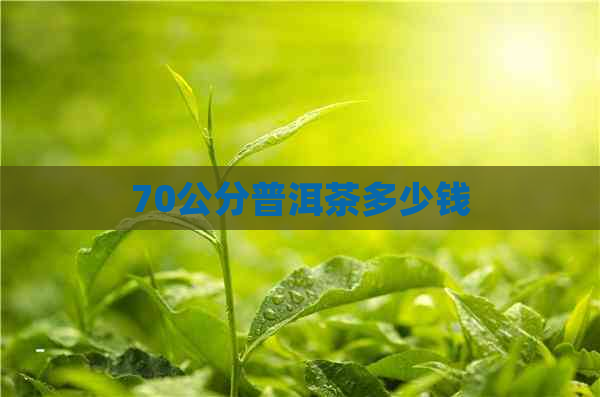 70公分普洱茶多少钱