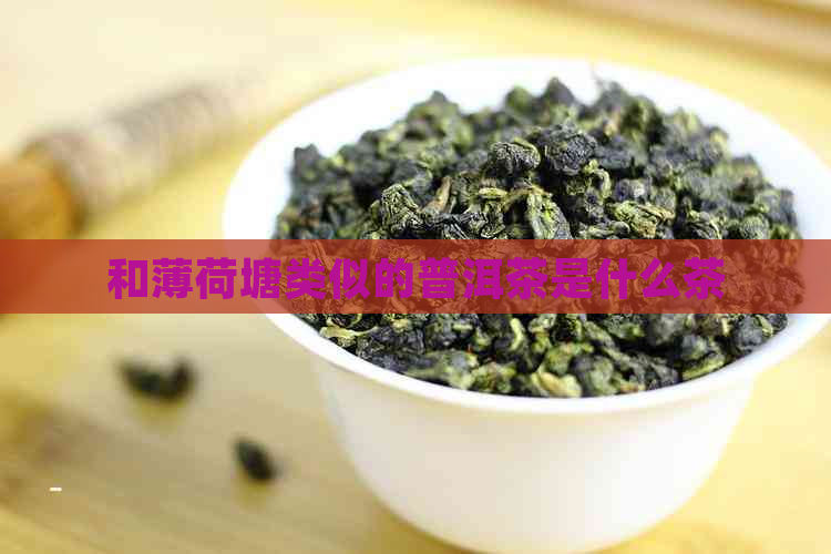 和薄荷塘类似的普洱茶是什么茶