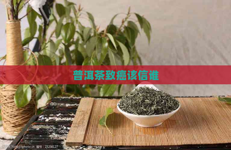 普洱茶致癌该信谁