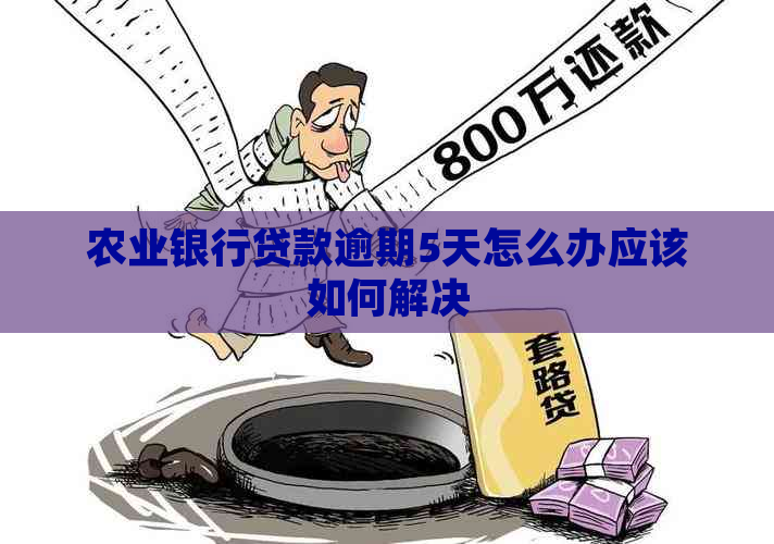 农业银行贷款逾期5天怎么办应该如何解决