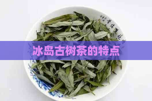 冰岛古树茶的特点