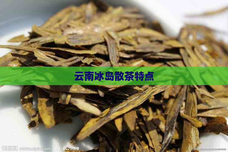 云南冰岛散茶特点