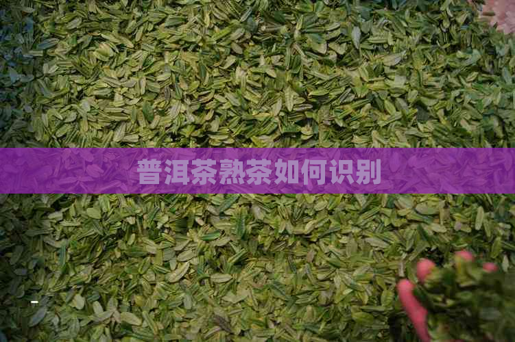 普洱茶熟茶如何识别