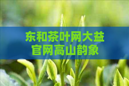 东和茶叶网大益官网高山韵象