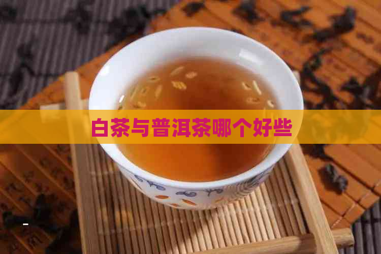 白茶与普洱茶哪个好些