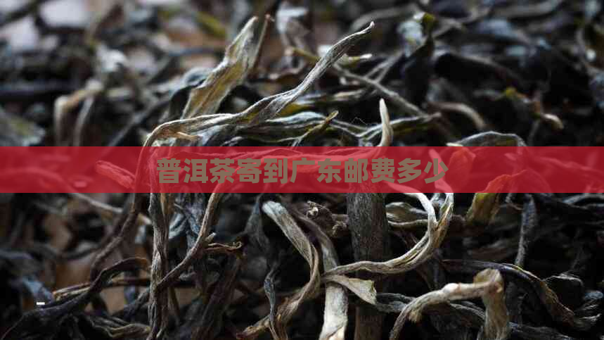 普洱茶寄到广东邮费多少