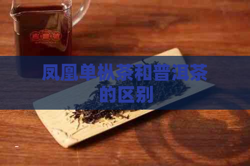 凤凰单枞茶和普洱茶的区别