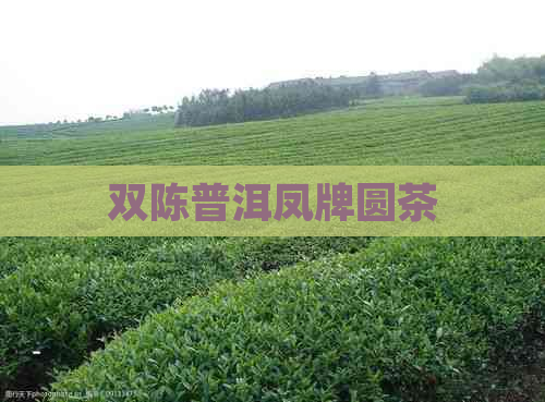 双陈普洱凤牌圆茶