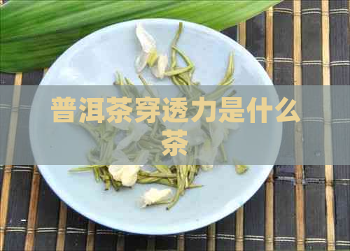 普洱茶穿透力是什么茶