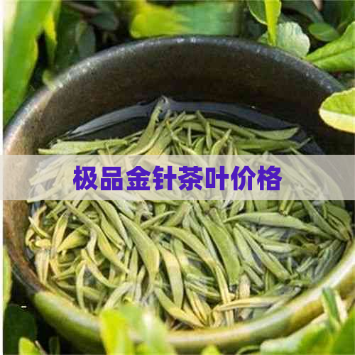 极品金针茶叶价格