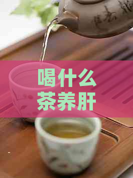 喝什么茶养肝护肾清肺