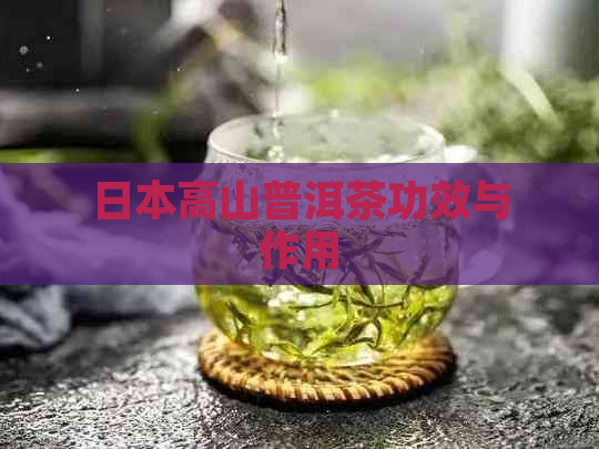 高山普洱茶功效与作用