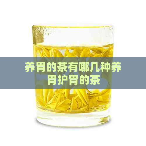 养胃的茶有哪几种养胃护胃的茶