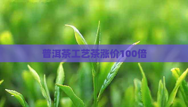 普洱茶工艺茶涨价100倍