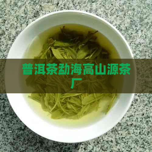 普洱茶勐海高山源茶厂