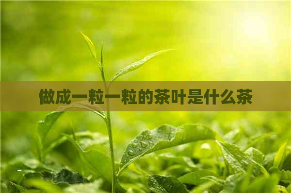 做成一粒一粒的茶叶是什么茶