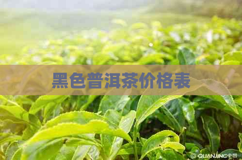 黑色普洱茶价格表