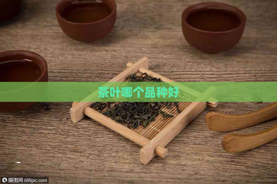 茶叶哪个品种好