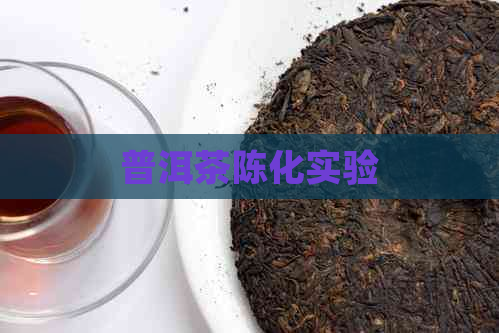 普洱茶陈化实验