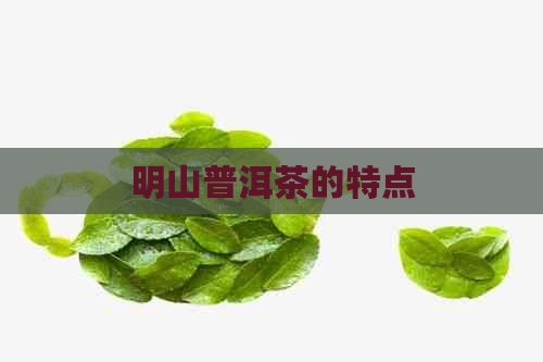 明山普洱茶的特点