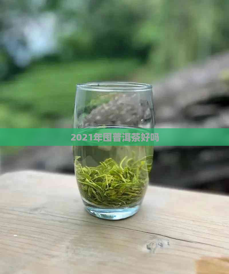 2021年囤普洱茶好吗