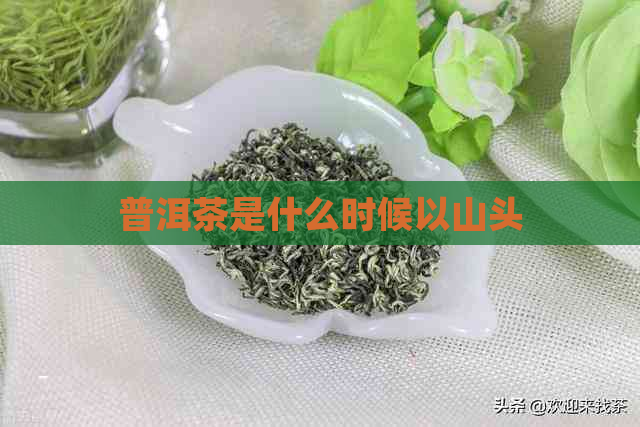 普洱茶是什么时候以山头