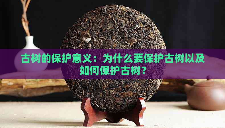 古树的保护意义：为什么要保护古树以及如何保护古树？