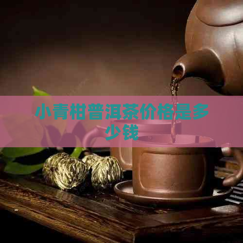 小青柑普洱茶价格是多少钱