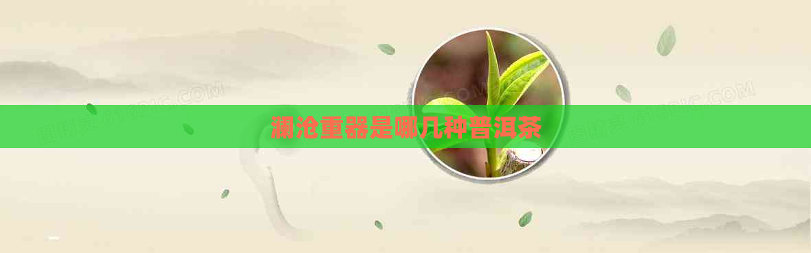 澜沧重器是哪几种普洱茶