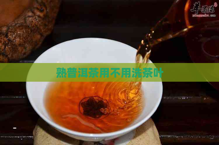 熟普洱茶用不用洗茶叶