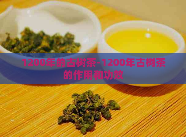 1200年的古树茶-1200年古树茶的作用和功效