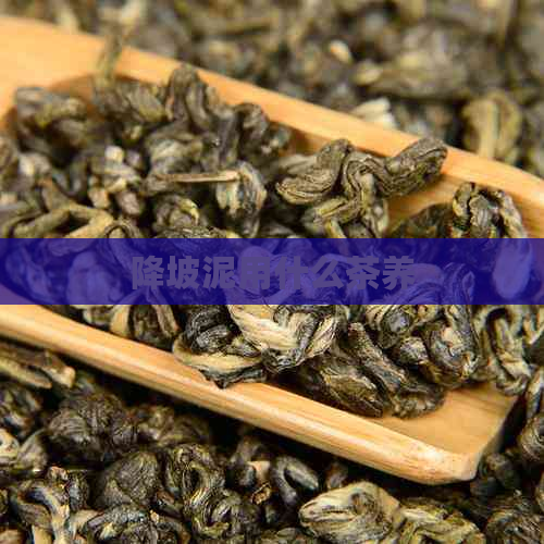 降坡泥用什么茶养