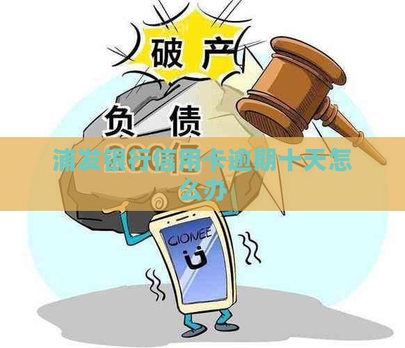 浦发银行信用卡逾期十天怎么办