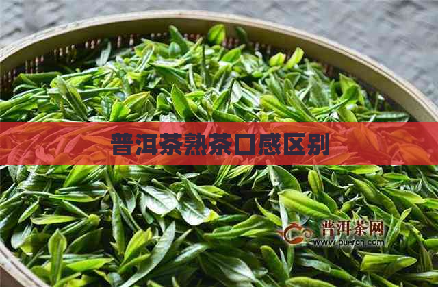 普洱茶熟茶口感区别