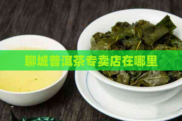 聊城普洱茶专卖店在哪里