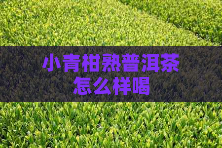 小青柑熟普洱茶怎么样喝