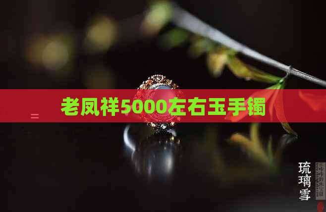 老凤祥5000左右玉手镯